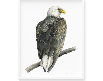 Watercolour Eagle Bird Art Print, Gorgeous Eagle Painting by Senay Studio, Museum Quality Wall Art Giclée