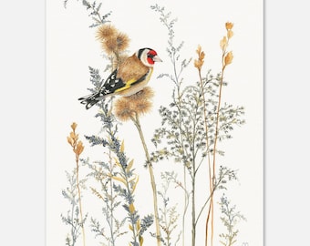 European Goldfinch in the wild #2 Museum-Quality Art Print