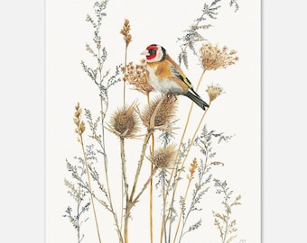 European Goldfinch in the wild  Museum-Quality Art Print
