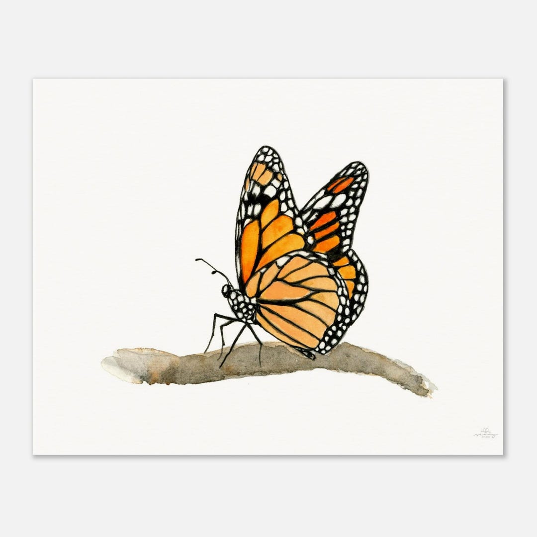 Monarch Butterfly Museum-quality Art Print - Etsy