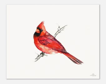 Red Cardinal Bird Museum-Quality Art Print