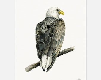 Eagle Museum-Quality Art Print