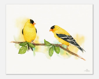 Goldfinch  Museum-Quality Art Print