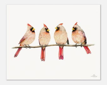 Girlfriends Four Cardinal Birds Museum-Quality Art Print