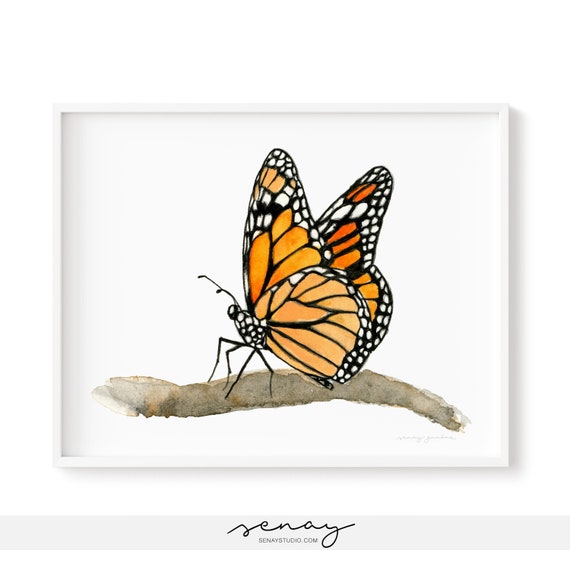 Midjourney Butterfly Keeper: Prompt for Unique Butterfly Art Creation