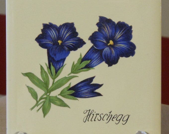 Danischburg Villeroy and Boch German Hirschegg Tile