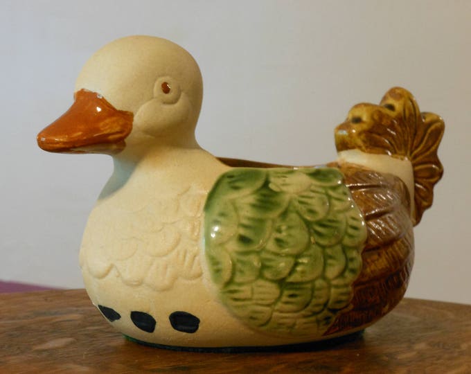 Vintage Rustic Ceramic Duck