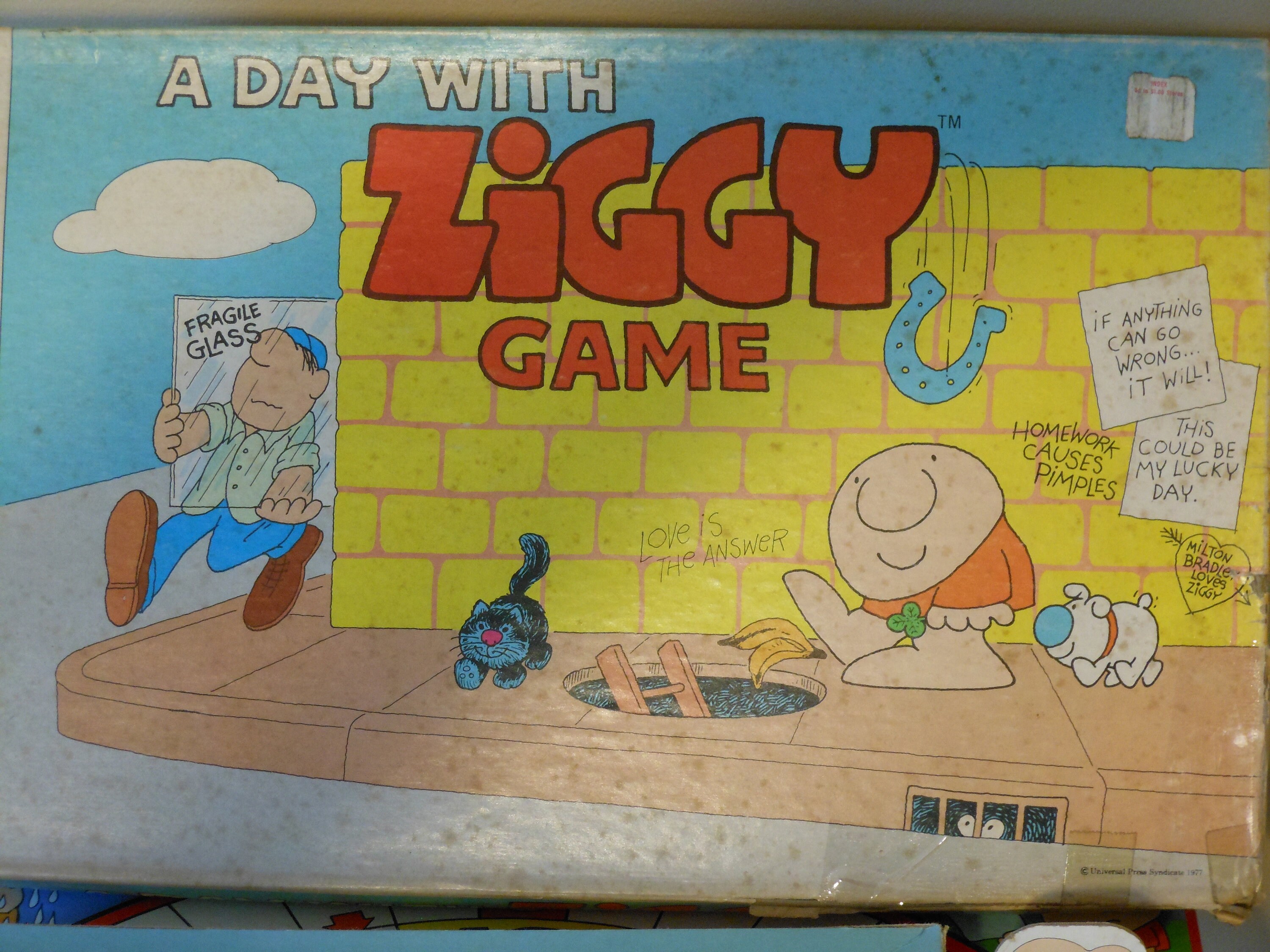 A Day With Ziggy Game