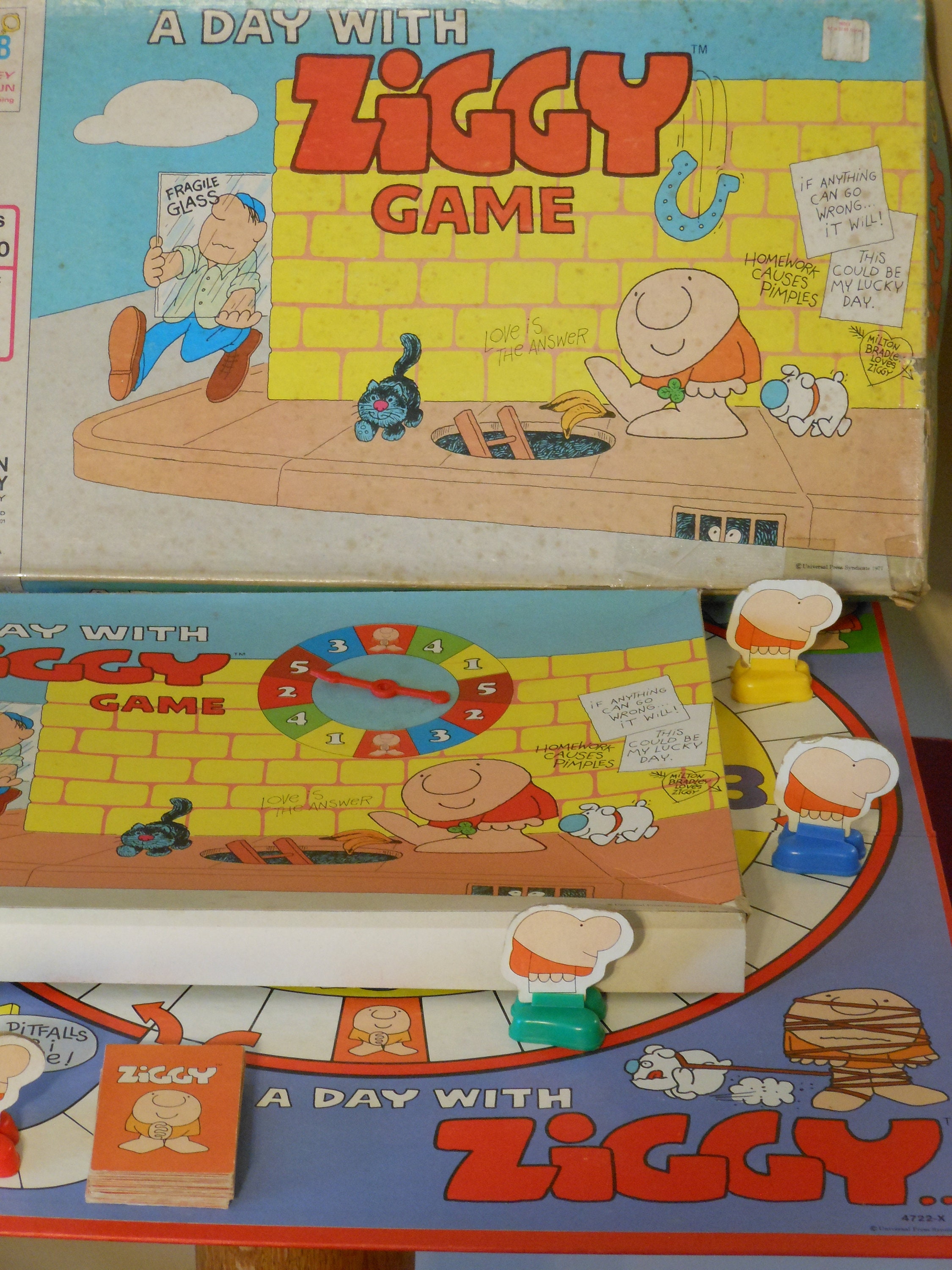 A Day With Ziggy Game