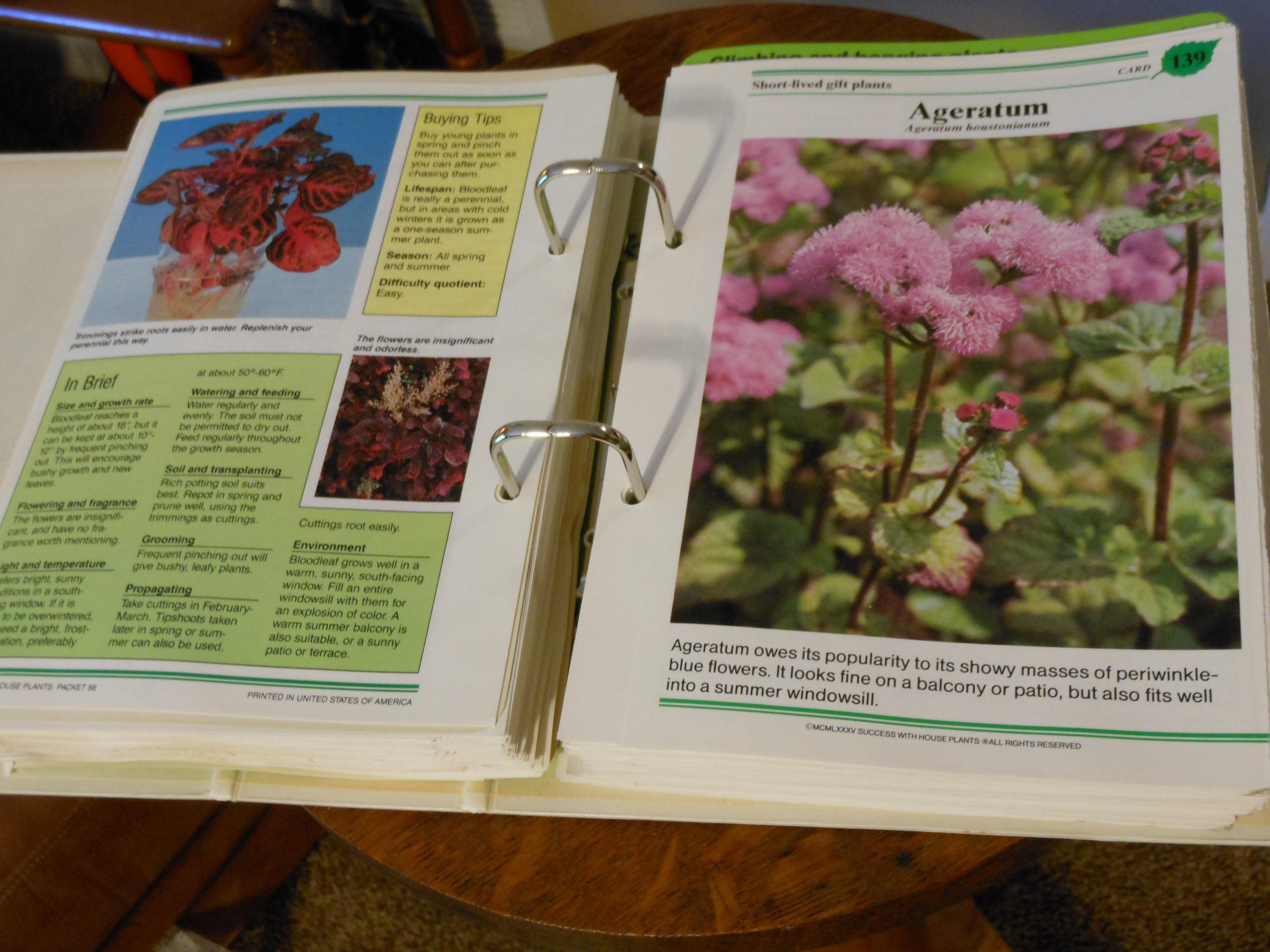 Success w/ House PlantsReader's Digest