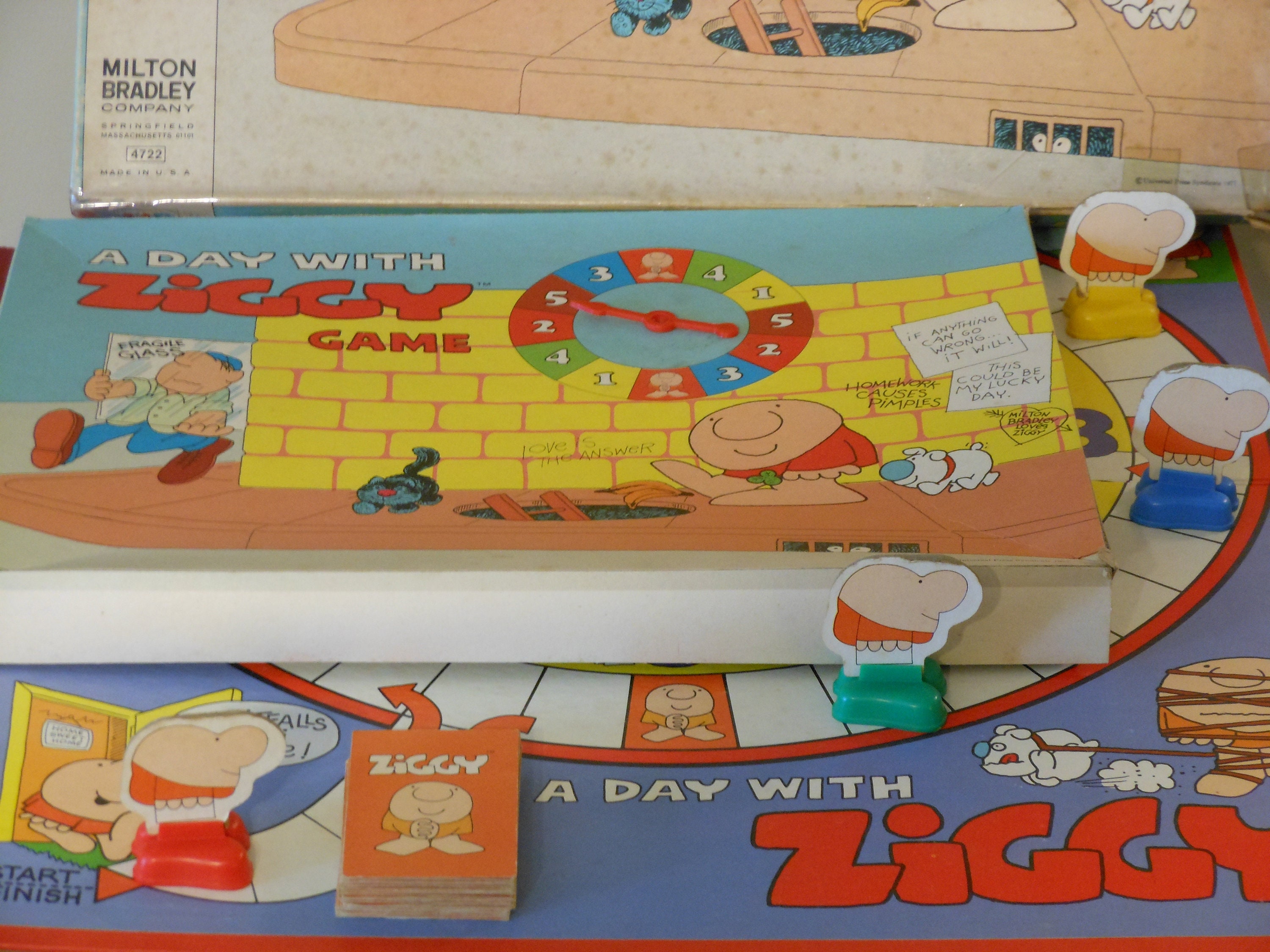 A Day With Ziggy Game