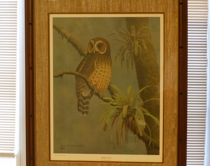 Don R. Eckelberry Mottled Owl (Ciccaba Virgata) Frame House Gallery Signed, Initialed, Dated Limited Edition Print