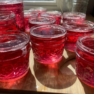 Könnte beinhalten: Eine Ansammlung von Gläsern, gefüllt mit einer leuchtend roten Flüssigkeit, vermutlich Marmelade oder Gelee, auf einer Holzoberfläche. Die Gläser haben unterschiedliche Größen und Formen, mit einem Glas mit lila Deckel im Hintergrund. Die Szene wird von natürlichem Licht beleuchtet.