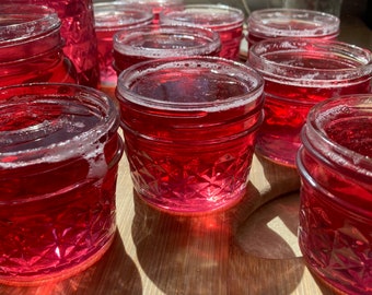 野生のスミレゼリー