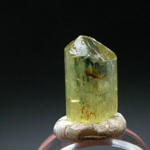 Large Gem Golden Apatite Crystal From Mexico - 0.5" - 4.76Grams