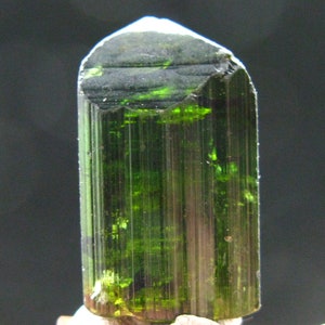 Green Tourmaline Crystal From Brazil - 1.1" - 35.60 Carats