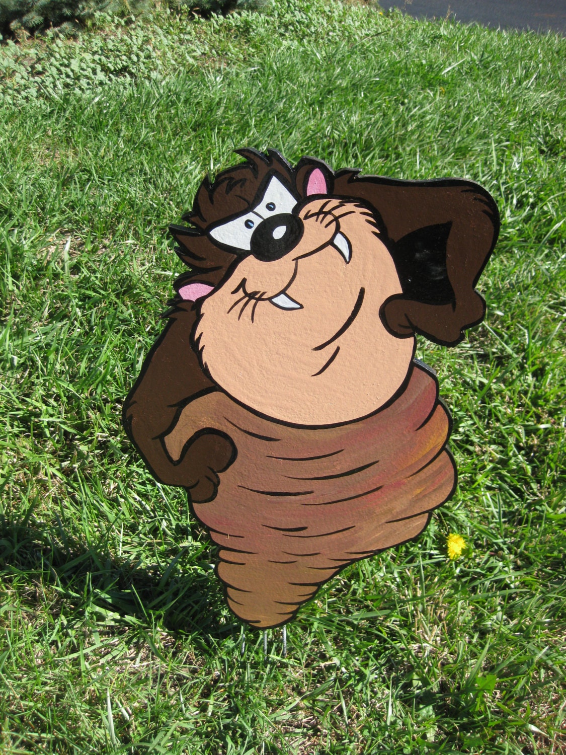 Real Tasmanian Devil Spinning