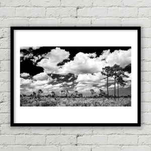 Large Florida Wetlands Photograph, Nature, Fine Art Print, Landscape, Wetlands, Florida, Black & White Art, Home Decor Print, Wall Art Print