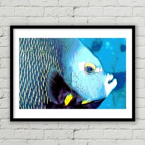 Französischer Engel Fisch Fine Art Print, Unterwasser Tropischer Fisch Kunstdruck