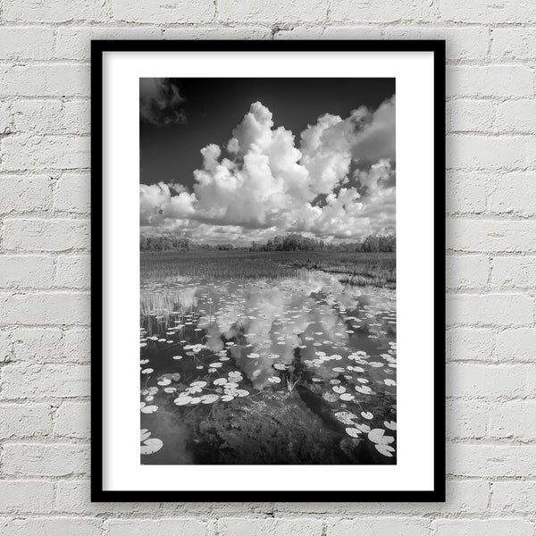 Large Florida Everglades Landscape Print, Photo Art, Black and White Art, Nature Wall Hanging, Dramatic Sky Fine Art, Environmental Art