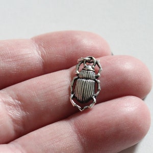 Silver Beetle Charm 