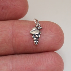 May include: A silver charm in the shape of a bunch of grapes with a leaf.