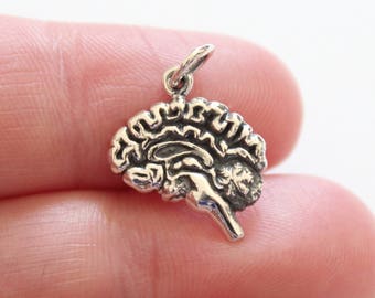 Sterling Silver Brain Charm: Anatomical Pendant