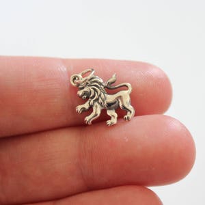 Sterling Silver Lion Pendant, Lion Charm, Lion Pendant, Realistic Lion Charm, Silver Lion Pendant, Silver Lion Charm, Fierce Lion Charm