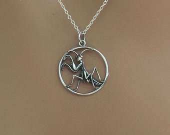 Pode incluir: Um colar de prata com um pingente circular que apresenta um design detalhado de um louva-a-deus.
