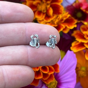Sterling Silver Scorpion Post Earrings, Silver Scorpion Post Earrings, Scorpion Post Earrings, Silver Scorpion Earrings, Scorpion Earrings