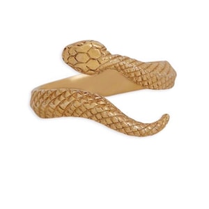 Puede incluir: Un anillo dorado con forma de serpiente enroscada. La banda presenta un patrón texturizado similar a escamas en la superficie exterior, mientras que el interior es liso. La cabeza y la cola de la serpiente se superponen para formar el diseño abierto.