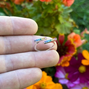 May include: A silver ring with two rainbow-colored bars set with small gemstones. The ring is on a finger against a background of colorful flowers.