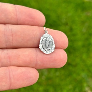 Sterling Silver Trilobite Fossil Charm, Sterling Silver Trilobite Fossil Pendant, Silver Trilobite Fossil Charm, Trilobite Fossil Pendant