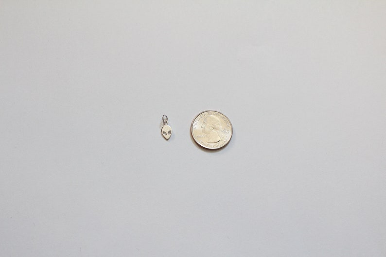 Op de afbeelding: Een zilveren alien-hanger, ongeveer zo groot als een Amerikaanse kwart.