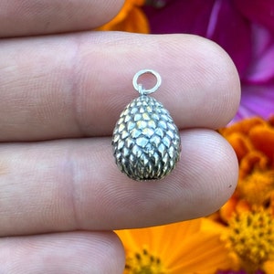 May include: A silver dragon egg charm with a detailed, textured surface. The charm is small and is being held in a hand.