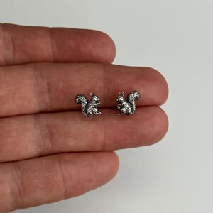 May include: A pair of small, silver-colored squirrel stud earrings. The earrings are detailed with textured fur and a bushy tail. The squirrels are facing each other, and are displayed on a light background.