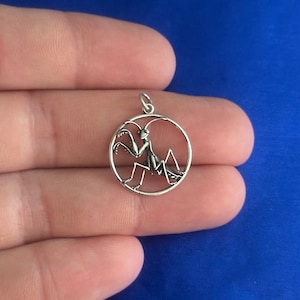 Sterling Silber Gottesanbeterin Charm, Silber Gottesanbeterin Anhänger, Sterling Silber Gottesanbeterin Anhänger, Gottesanbeterin Insekt Charme
