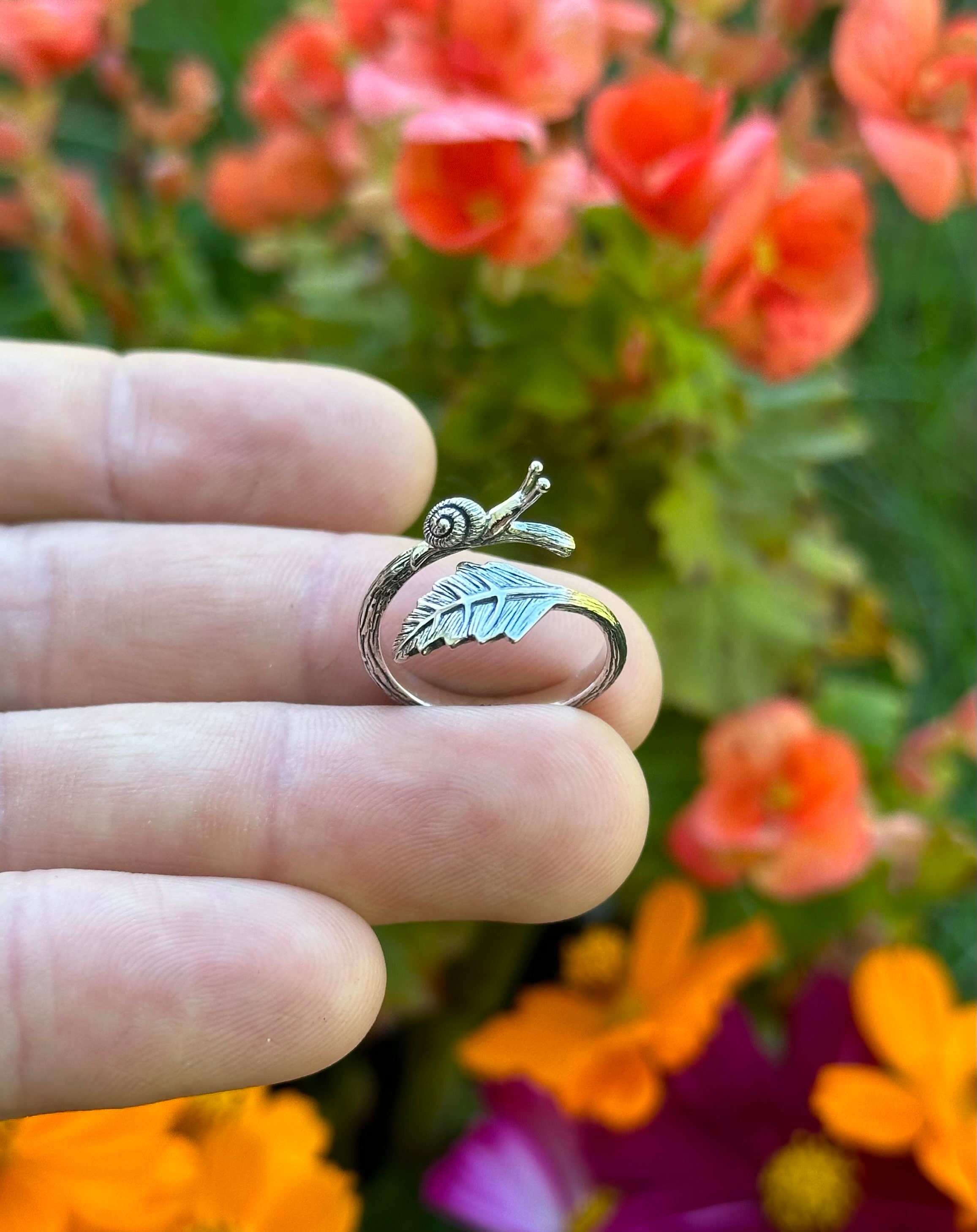 Neritina Pulligera &bull; Lumaca Di Acqua Dolce &bull; Scheda Mollusco