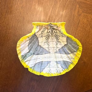 Scallop Shell Trinket Dish, Decoupage Shell Dish, Seashell Jewelry Dish, Coastal Trinket Dish,  Upcycled Shell Art, Shell Catchall