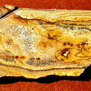 Vintage rare vintage Oregon jasper unpolished slab for specimen or cabs lapidary supply gemstone rough free shipping USA