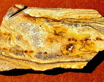 Vintage rare vintage Oregon jasper unpolished slab for specimen or cabs lapidary supply gemstone rough free shipping USA