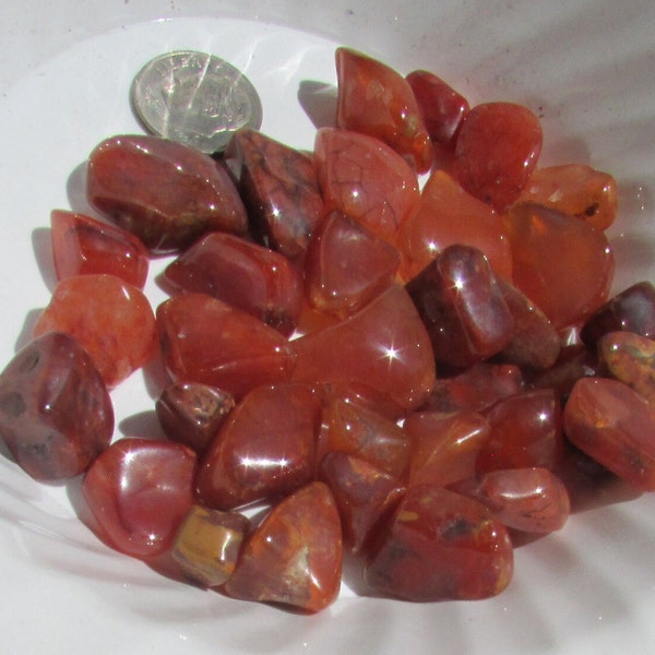 LOT Tumble polished carnelian healing crystals Oregon rocks loose gemstones wire wrapping supply mine run 3 oz package free shipping USA