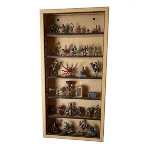 Large Display Case