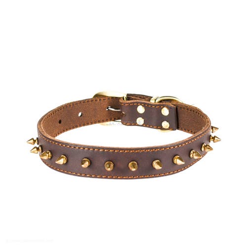 Large Spiked Leather Dog Collar Red Oak Dark Brown Real Etsy