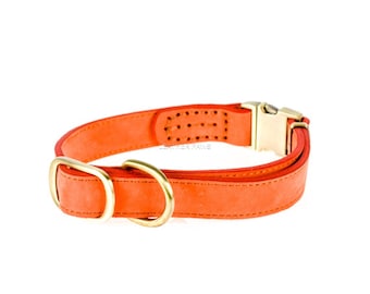 Leather Dog Collar Snap On For Quick Release Brass Real Genuine Leather Peach Orange For Small to Large Breed Dogs