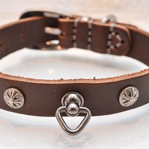 Op de afbeelding: Een bruine leren hondenriem met zilveren metalen accenten. De riem heeft een decoratief bloemmotief op de metalen accenten en een zilveren metalen D-ring.