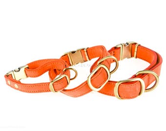 Leren hondenhalsband kliksluiting voor snelsluiting messing echt leer perzikoranje voor kleine tot grote honden