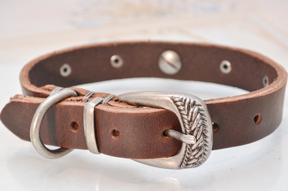Dark Brown Studded Leather Dog Collar For Small to Medium Breed Dogs With Unique Clasps -  11" to 15"