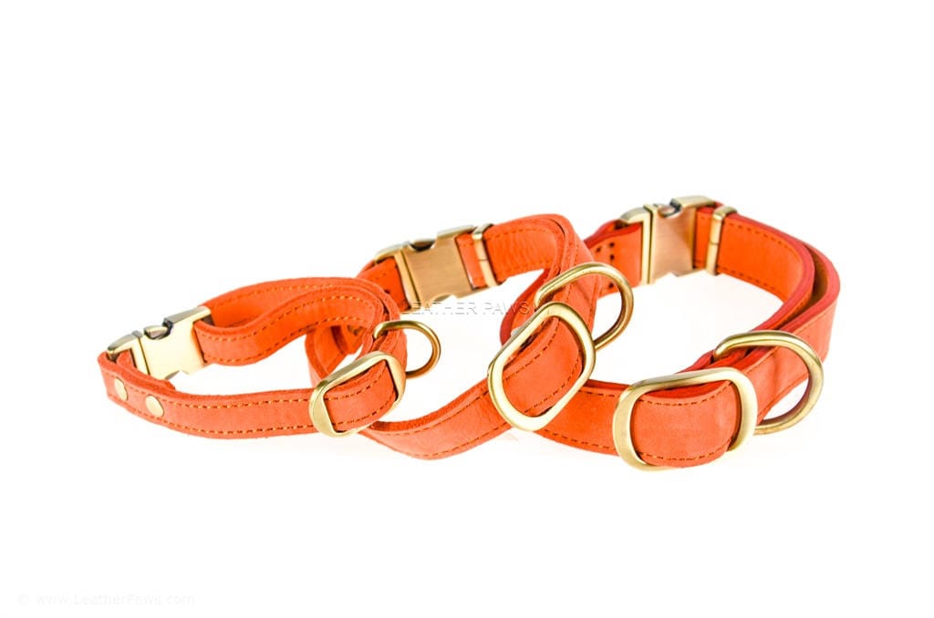 Luxury Leather Designer Dog Collar In XS, S, M, L, XL (Optional Leash  Available)