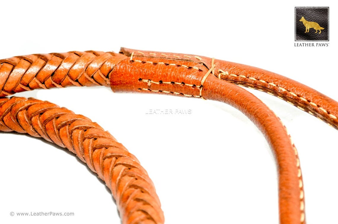 Leather Paws Statement II Braided Leather Leash Etsy